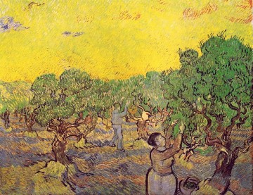 Olivar con figuras recogiendo Vincent van Gogh Pinturas al óleo